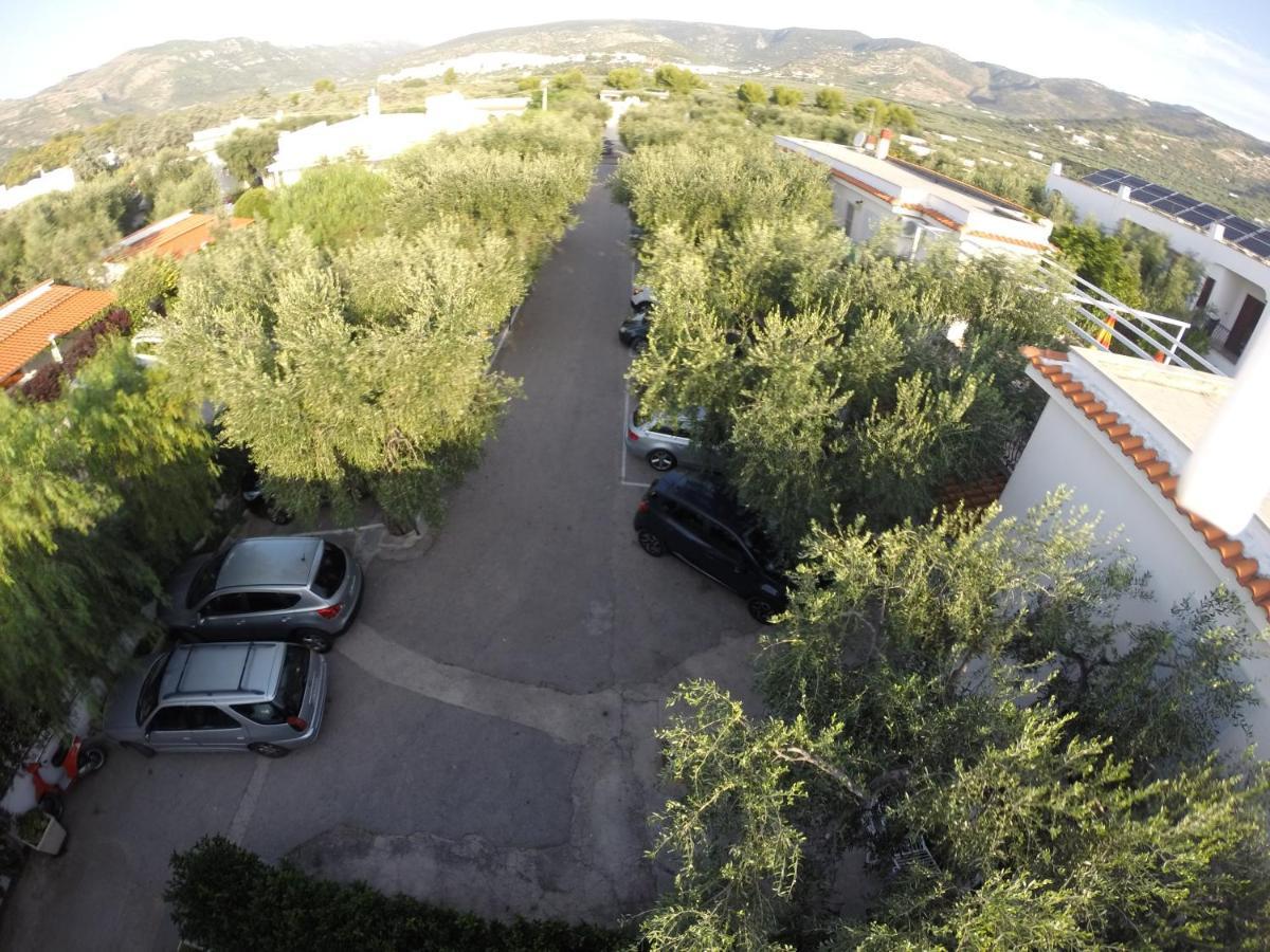 Residence Adriatico Маттината Экстерьер фото